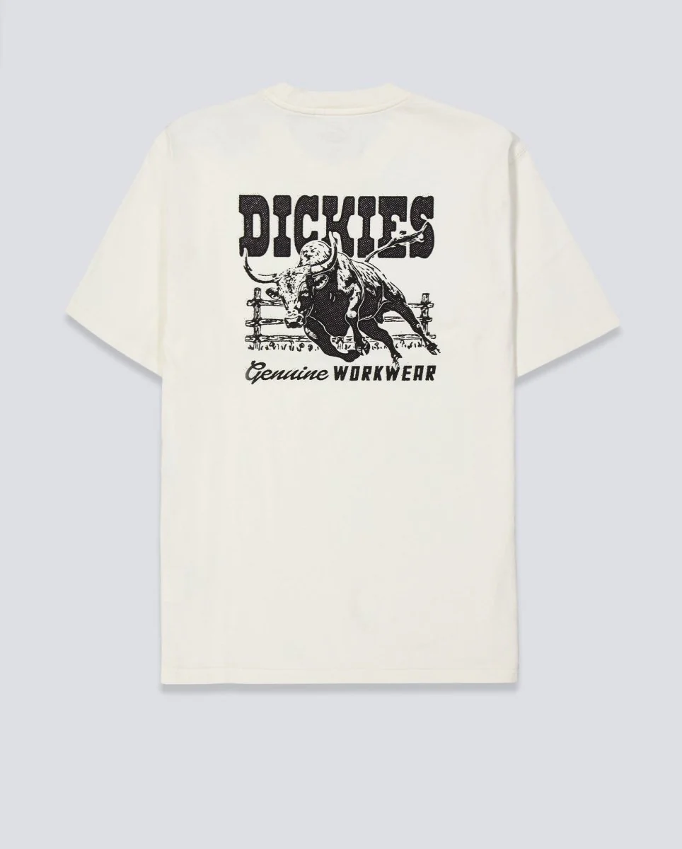 Camiseta Dickies Buchtell Gris Hombre - Image 3