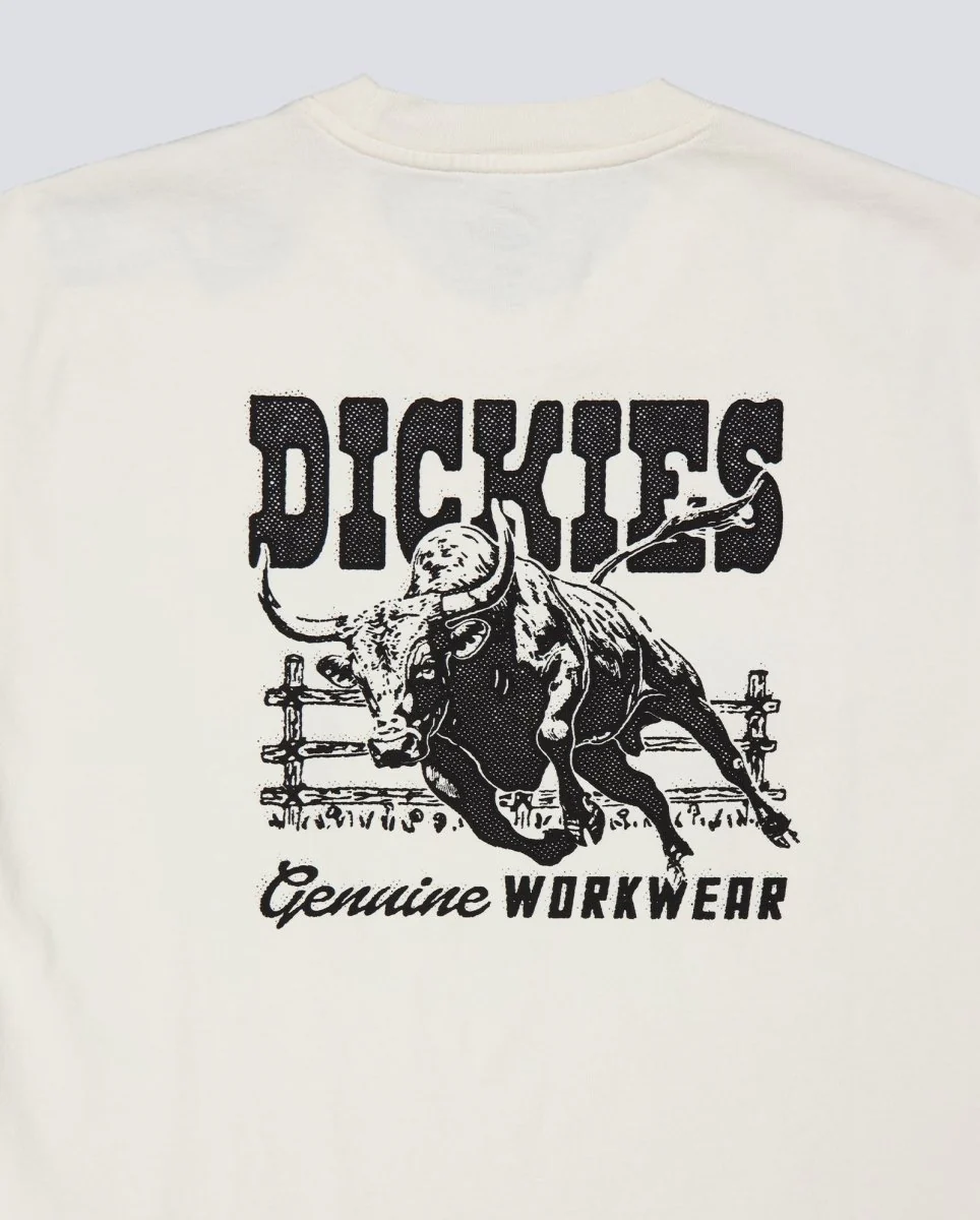 Camiseta Dickies Buchtell Gris Hombre - Image 5