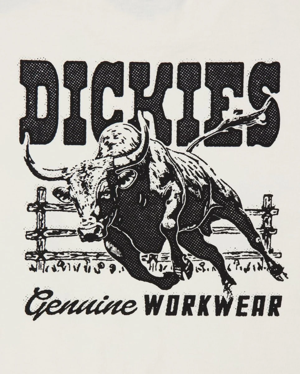 Camiseta Dickies Buchtell Gris Hombre - Image 6