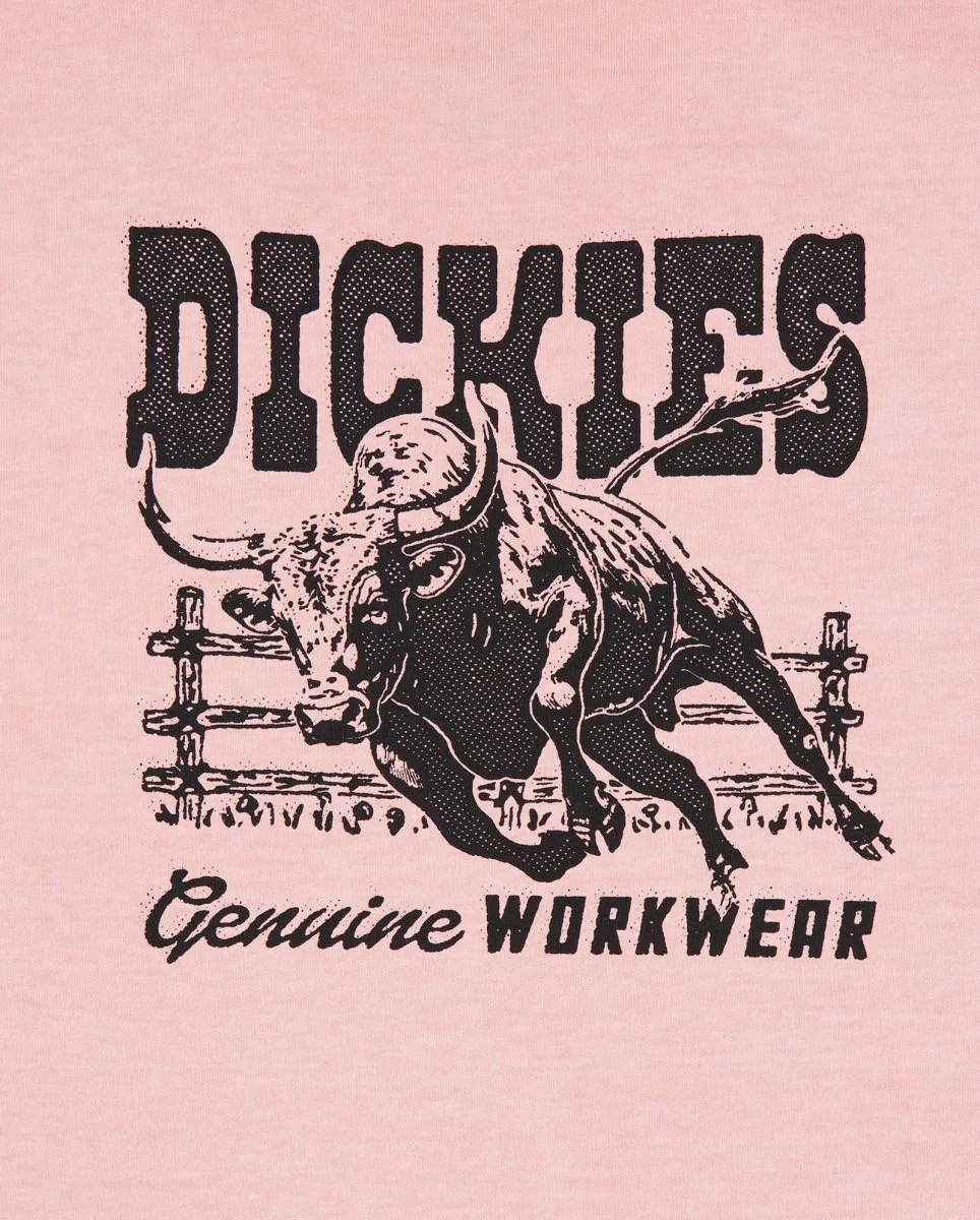 Camiseta Dickies Buchtell Rosa Hombre - Image 4