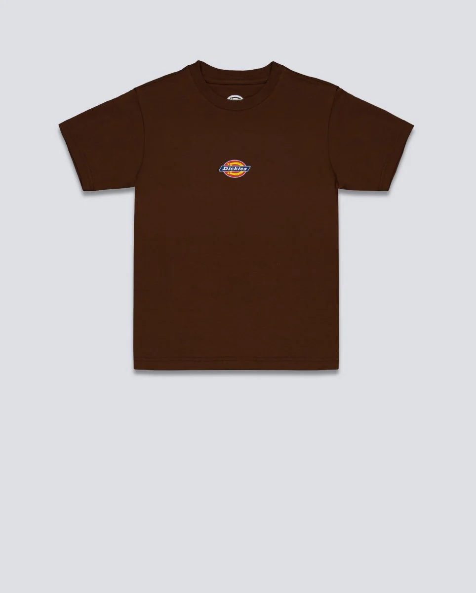 Camiseta  Dickies Maple Valley Reg Tee Marrón Mujer