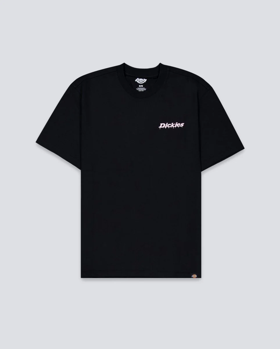 Camiseta Dickies Statesville Negra Hombre