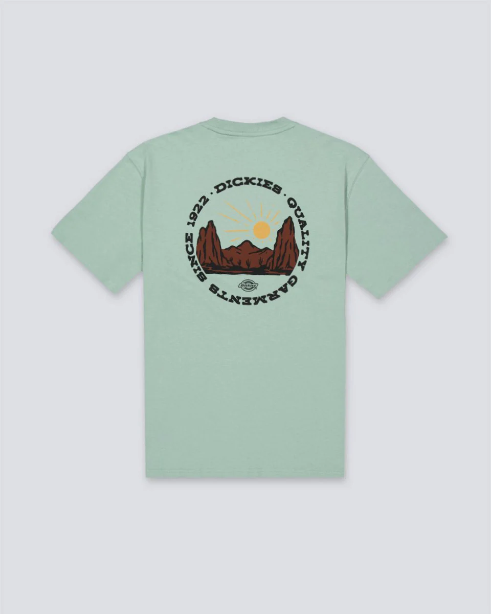 Camiseta Dickies Outdoor Verde Hombre - Image 2