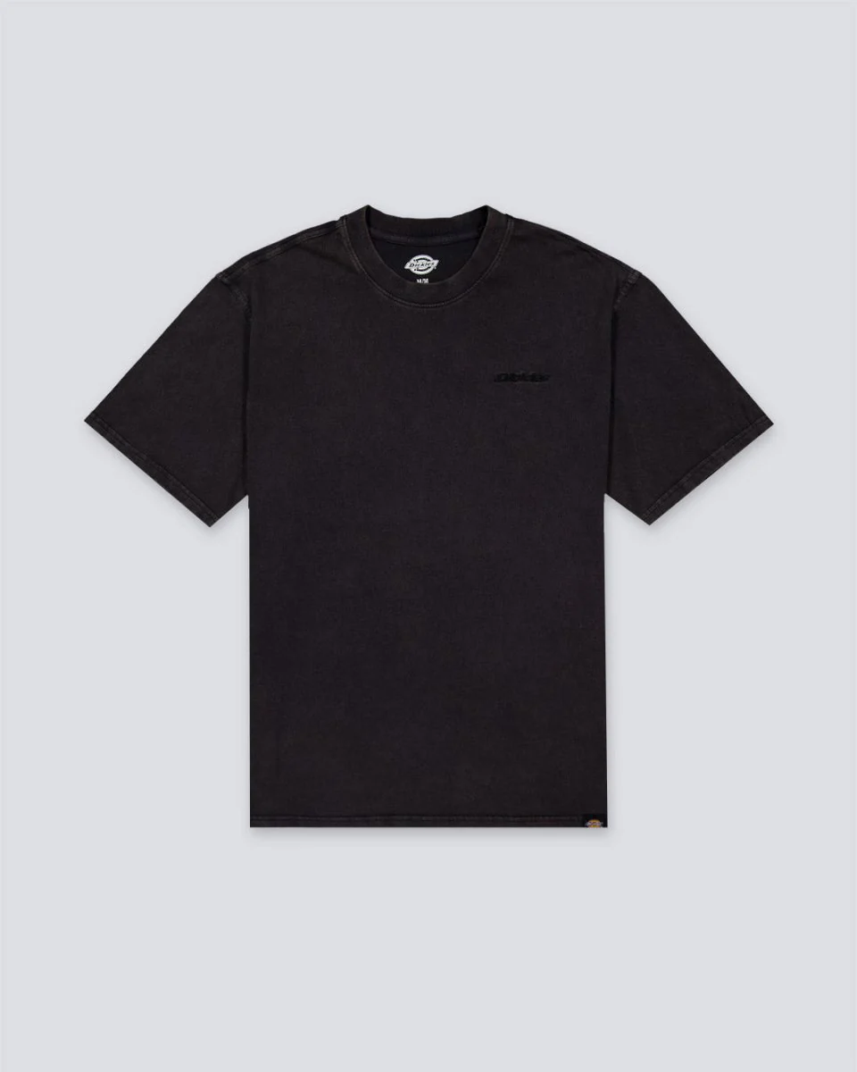 Camiseta Dickies Plentywood Negro Hombre