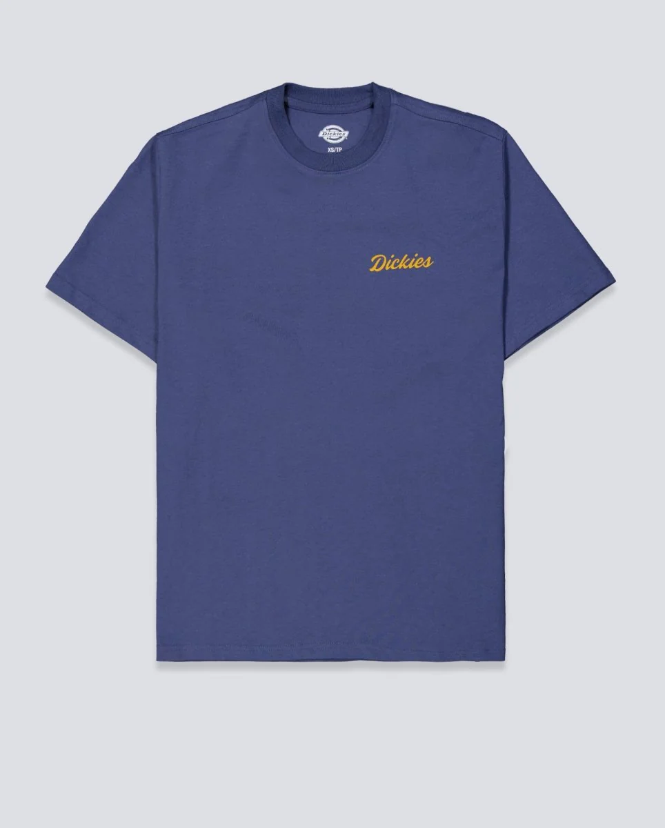 Camiseta Dickies Wellsville Azul Hombre DK0A8886RI21
