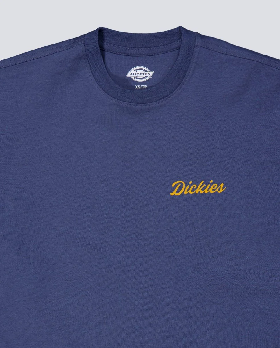 Camiseta Dickies Wellsville Azul Hombre DK0A8886RI21 - Image 3