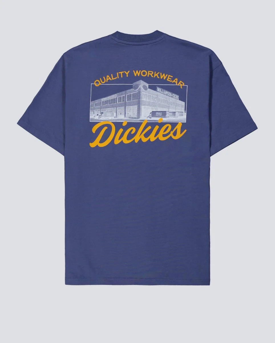 Camiseta Dickies Wellsville Azul Hombre DK0A8886RI21 - Image 4