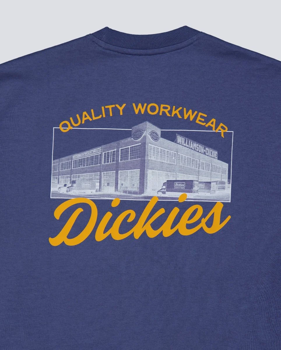 Camiseta Dickies Wellsville Azul Hombre DK0A8886RI21 - Image 5
