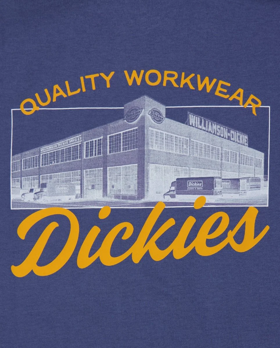 Camiseta Dickies Wellsville Azul Hombre DK0A8886RI21 - Image 6