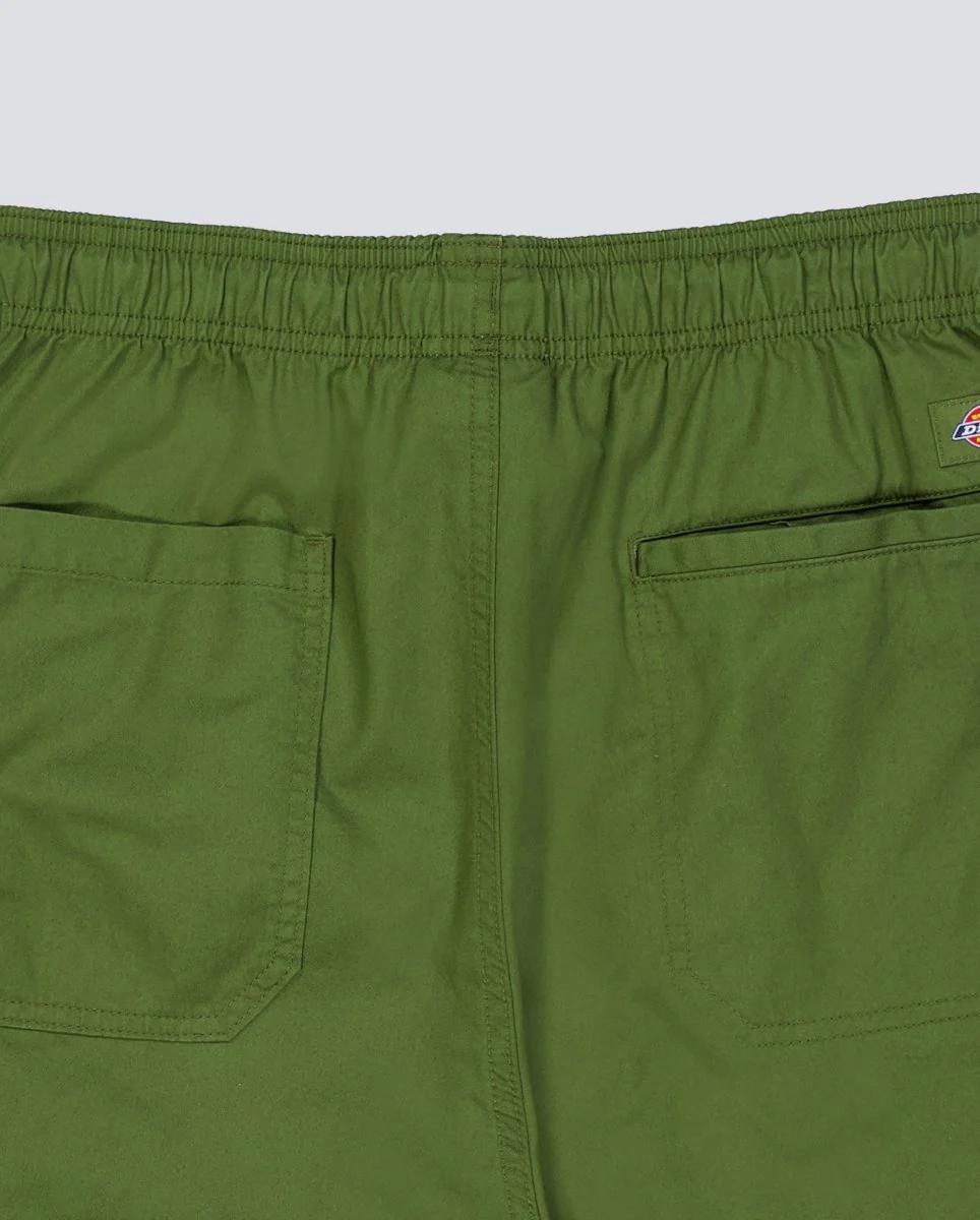 Pantalón Corto Dickies Pelican Rapids Verde Hombre - Image 5