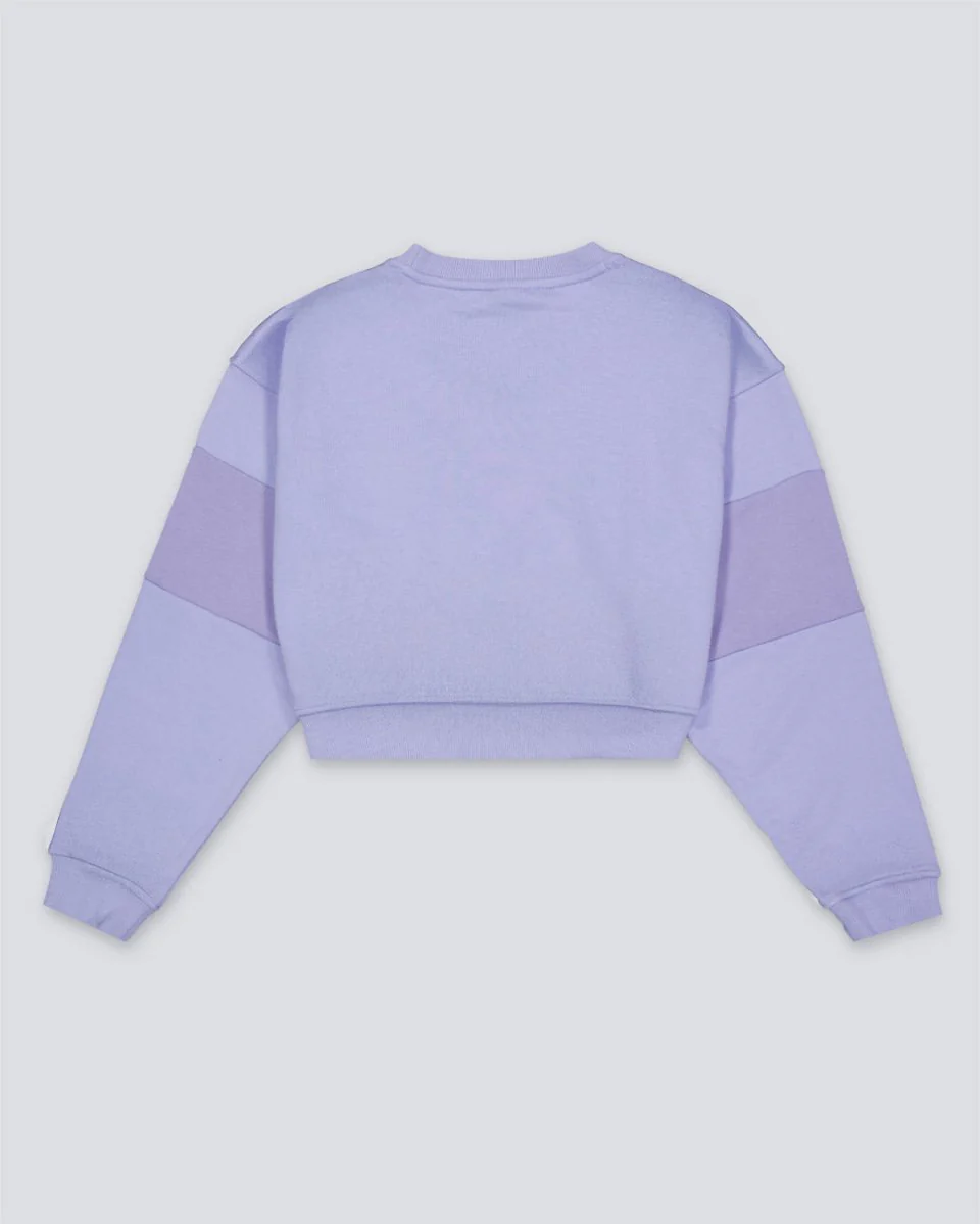 Sudadera The North Face Terry Oversized Cropped Lila Mujer - Image 2